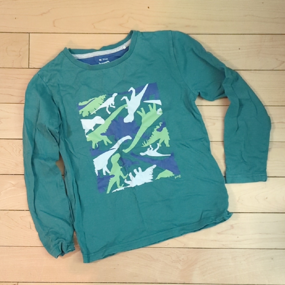 Green Long-Sleeve Dinosaur Graphic Tee for Kids - 9 Years